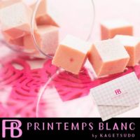 苺の生チョコプランタン24個入
